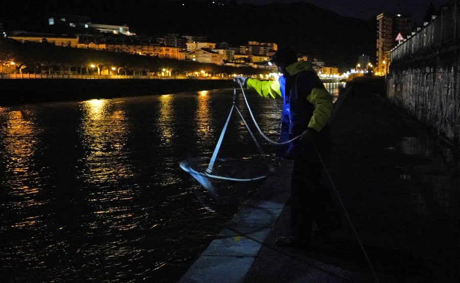 Fotos: Arranca la temporada de Angulas