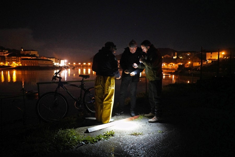 Fotos: Arranca la temporada de Angulas