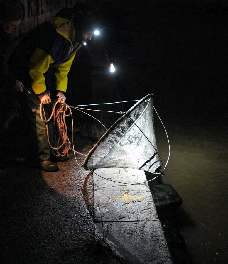 Fotos: Arranca la temporada de Angulas