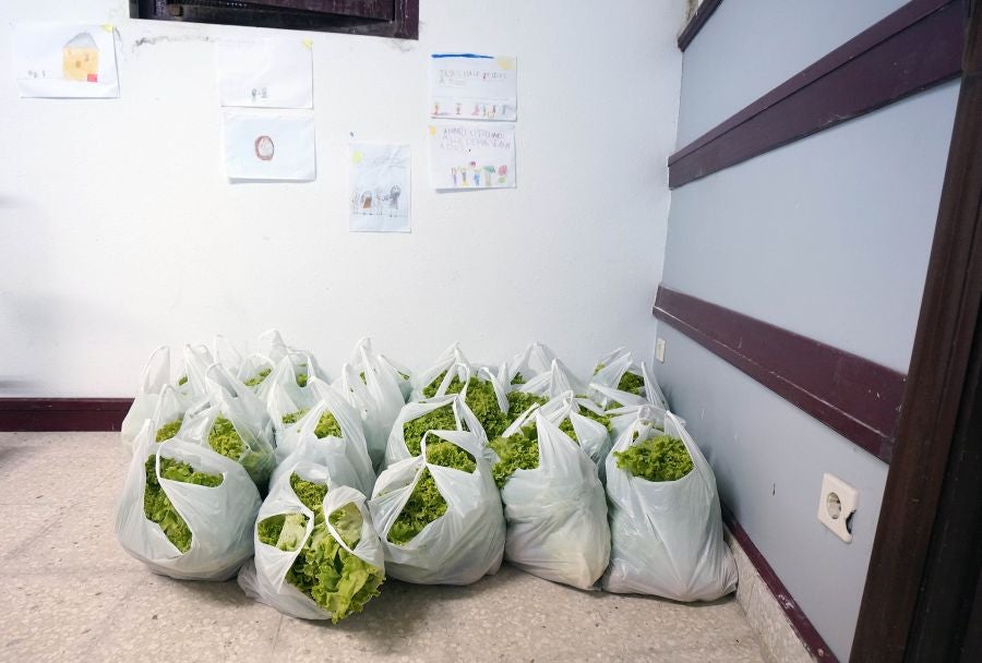 Banco de Alimentos: una gran cadena solidaria