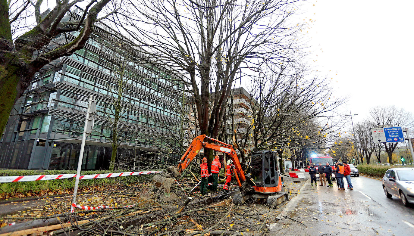 El viento ha provocado numerosos daños materiales en Gipuzkoa, especialmente en Donostia, con árboles y andamios caídos por toda la ciudad.