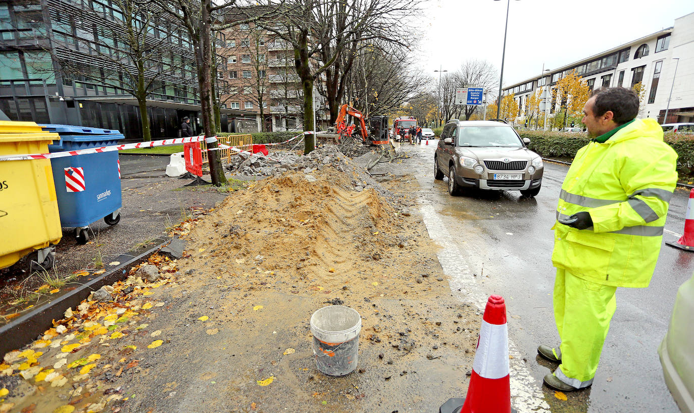 El viento ha provocado numerosos daños materiales en Gipuzkoa, especialmente en Donostia, con árboles y andamios caídos por toda la ciudad.