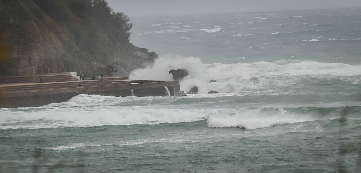 El viento ha provocado numerosos daños materiales en Gipuzkoa, especialmente en Donostia, con árboles y andamios caídos por toda la ciudad.