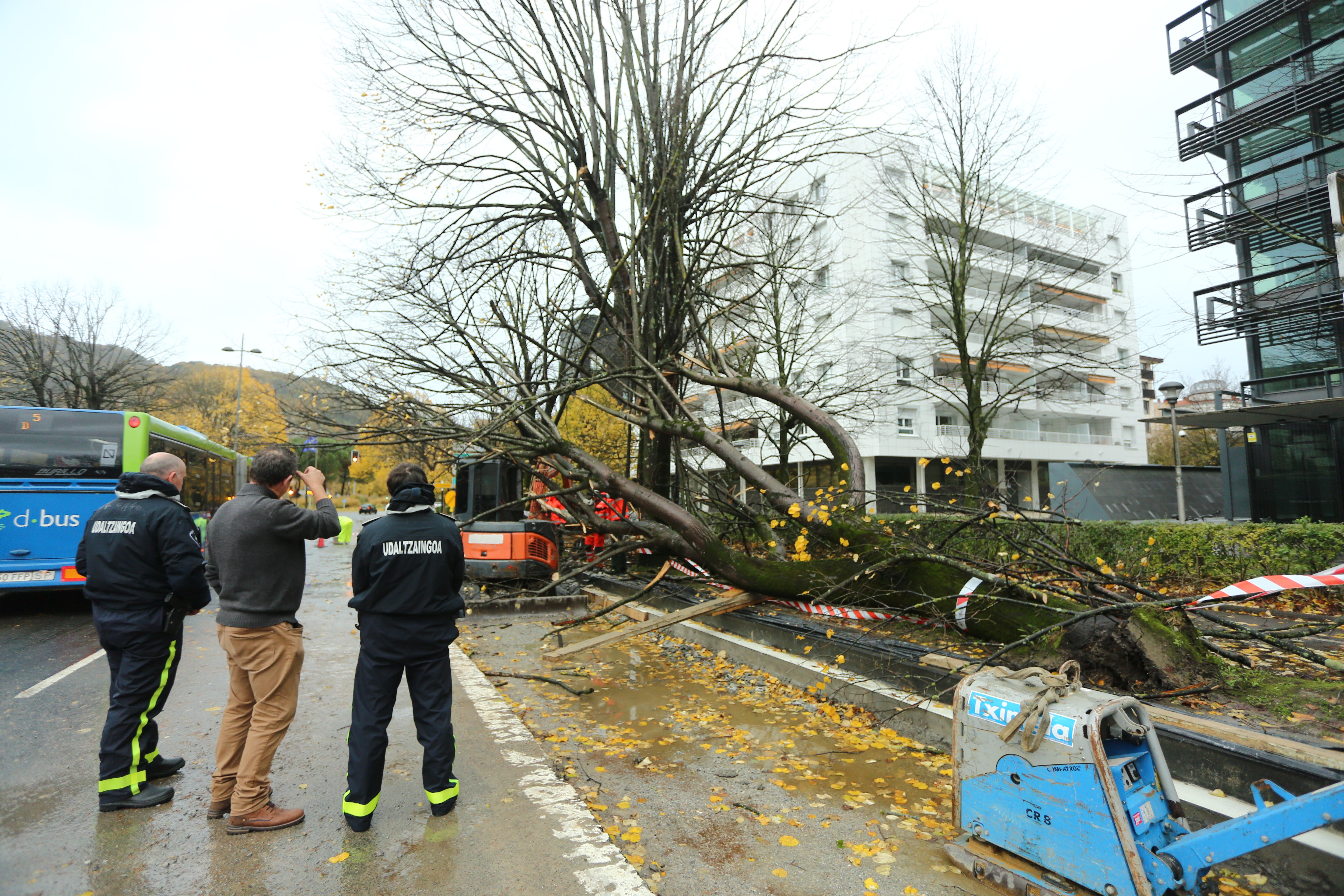 El viento ha provocado numerosos daños materiales en Gipuzkoa, especialmente en Donostia, con árboles y andamios caídos por toda la ciudad.
