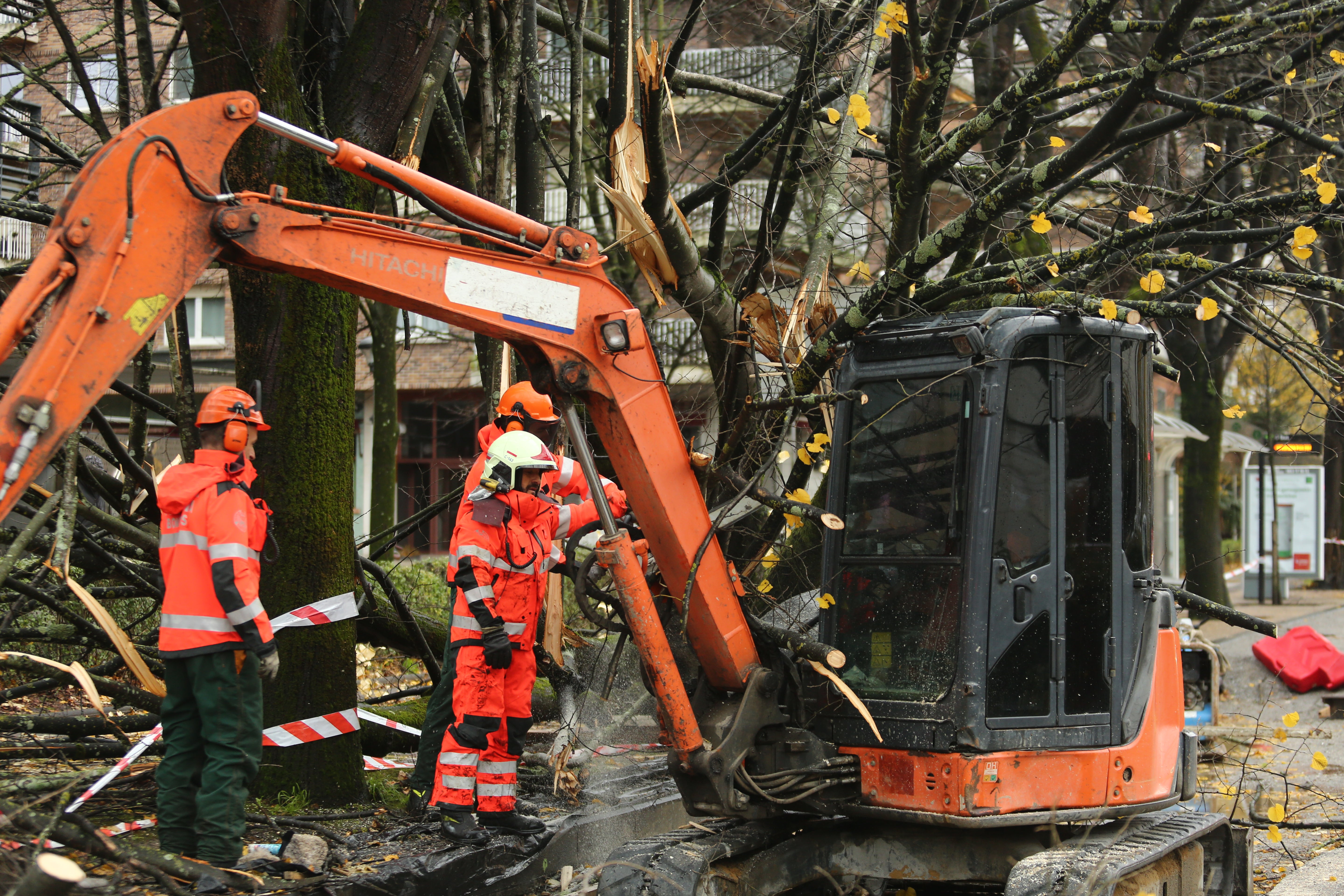 El viento ha provocado numerosos daños materiales en Gipuzkoa, especialmente en Donostia, con árboles y andamios caídos por toda la ciudad.