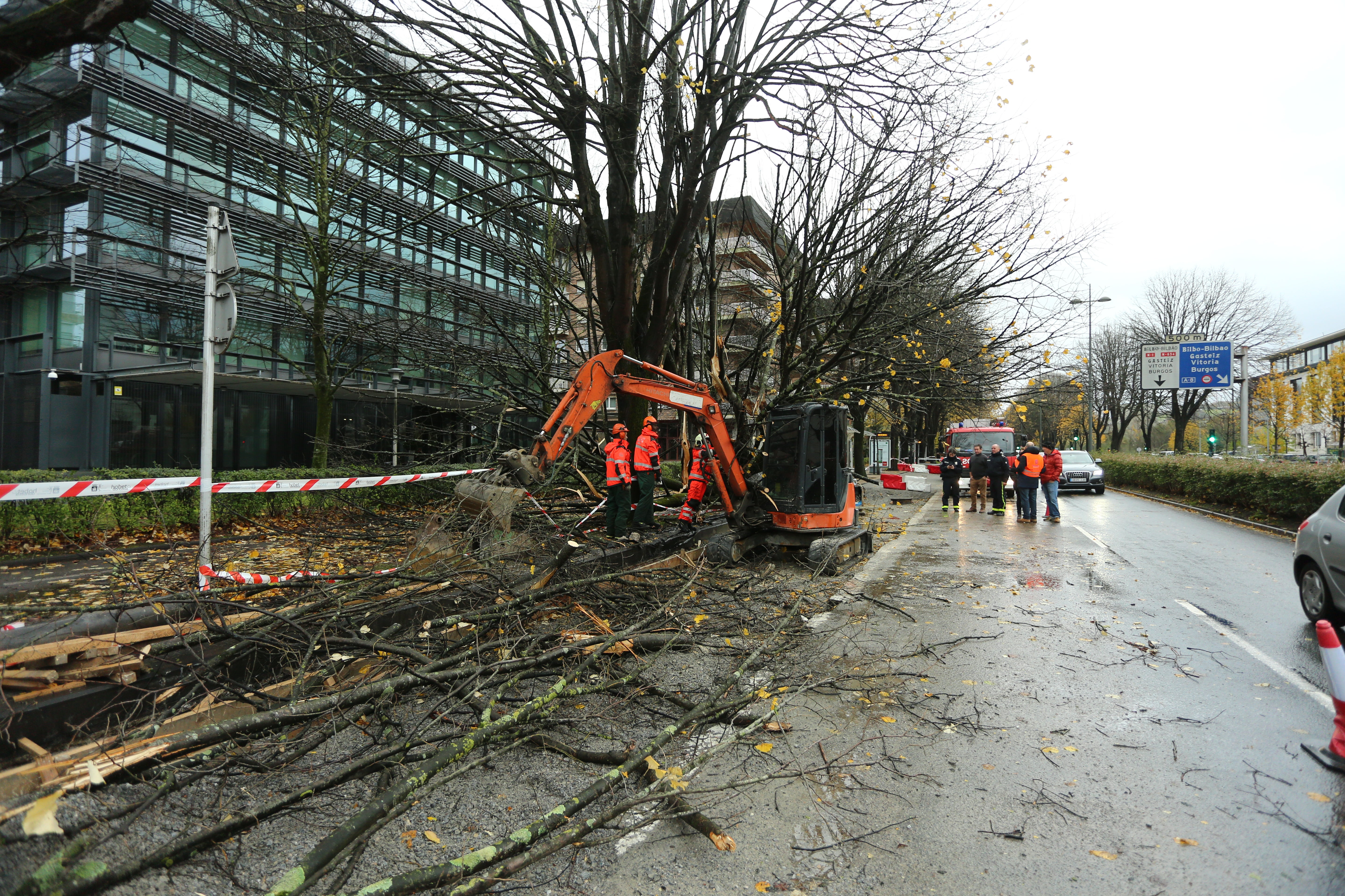 El viento ha provocado numerosos daños materiales en Gipuzkoa, especialmente en Donostia, con árboles y andamios caídos por toda la ciudad.