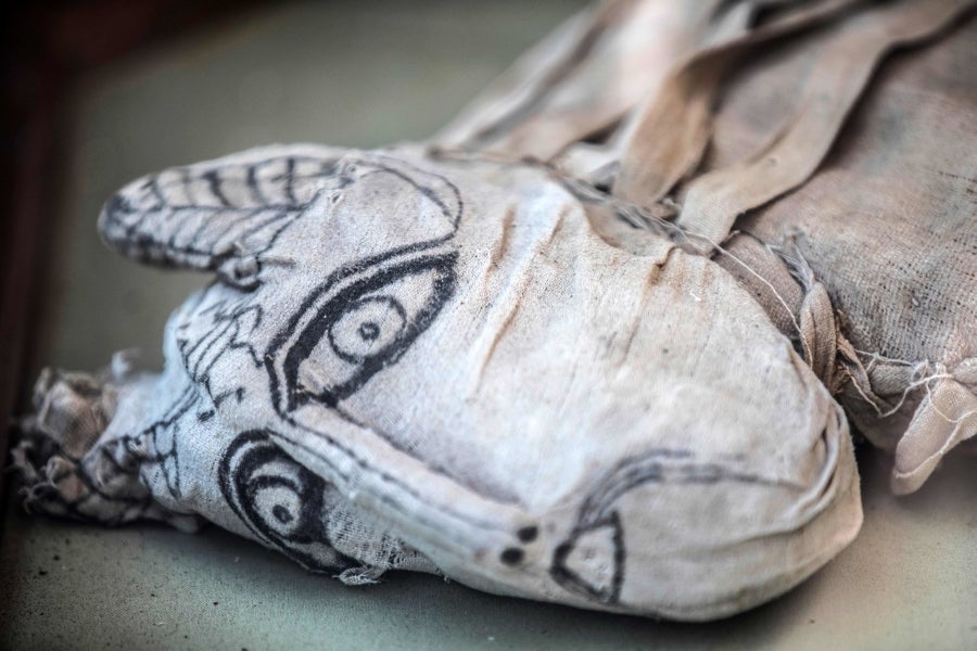 Fotos: Los mejores amigos de las momias