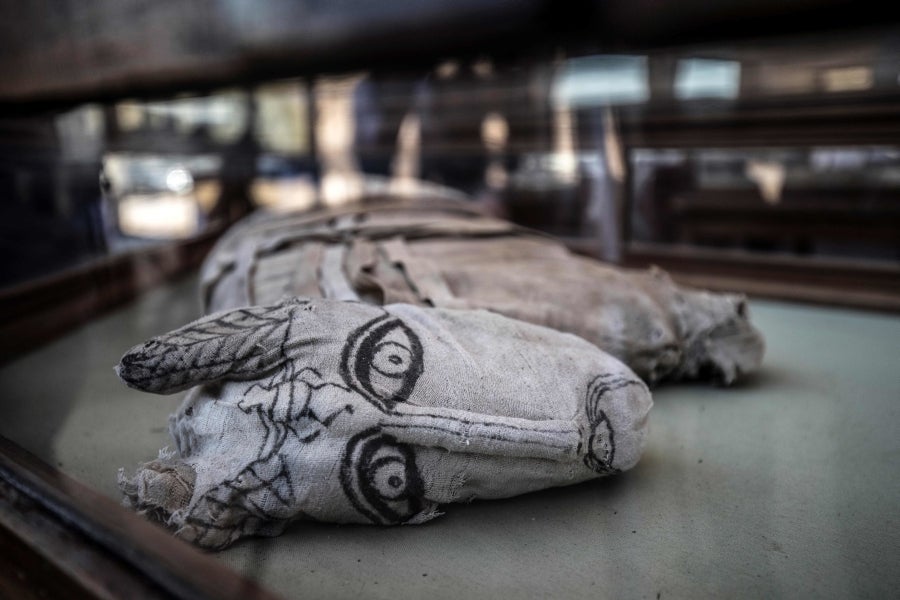 Fotos: Los mejores amigos de las momias