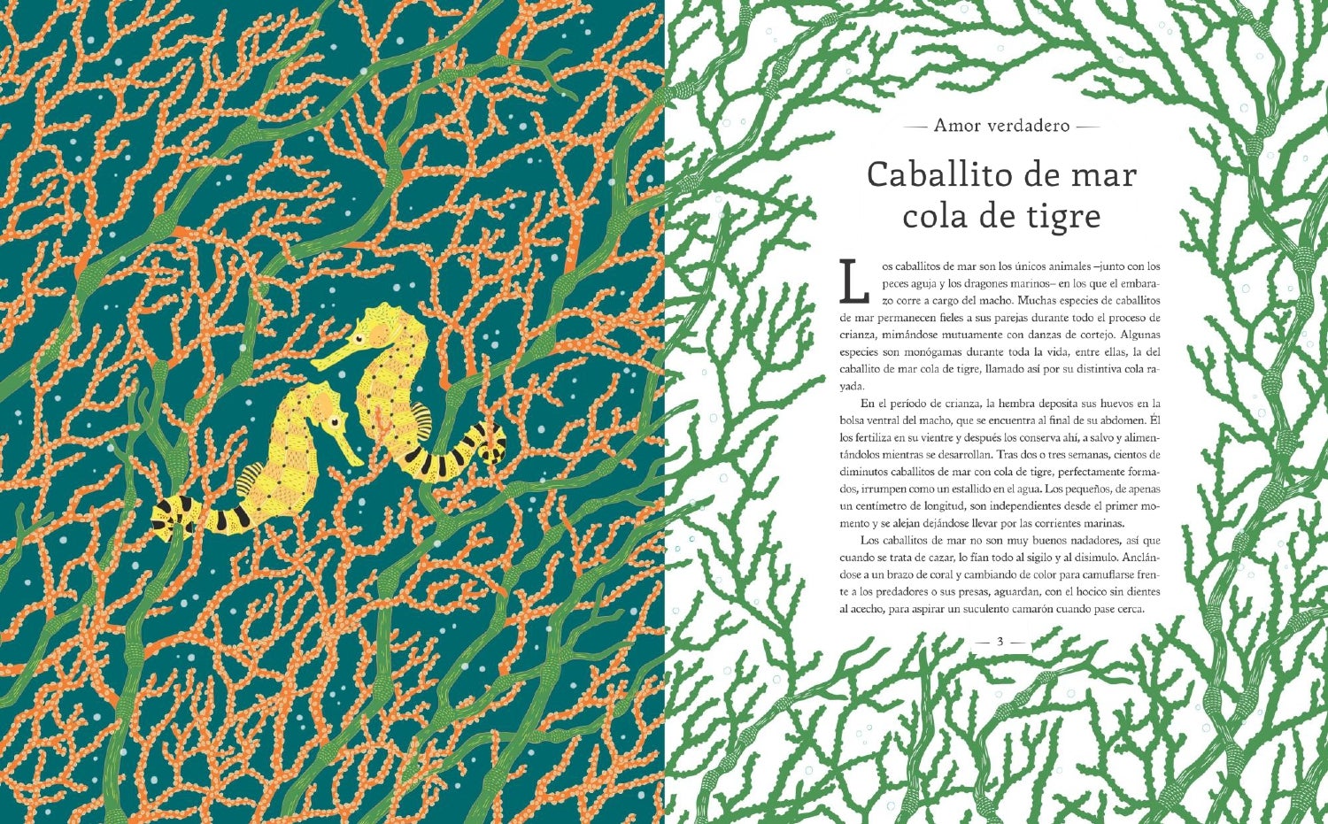 Imagen principal - Ilustraciones y portada del libro 'Un magnífico inventario de animales por salvar' de Millie Marotta.