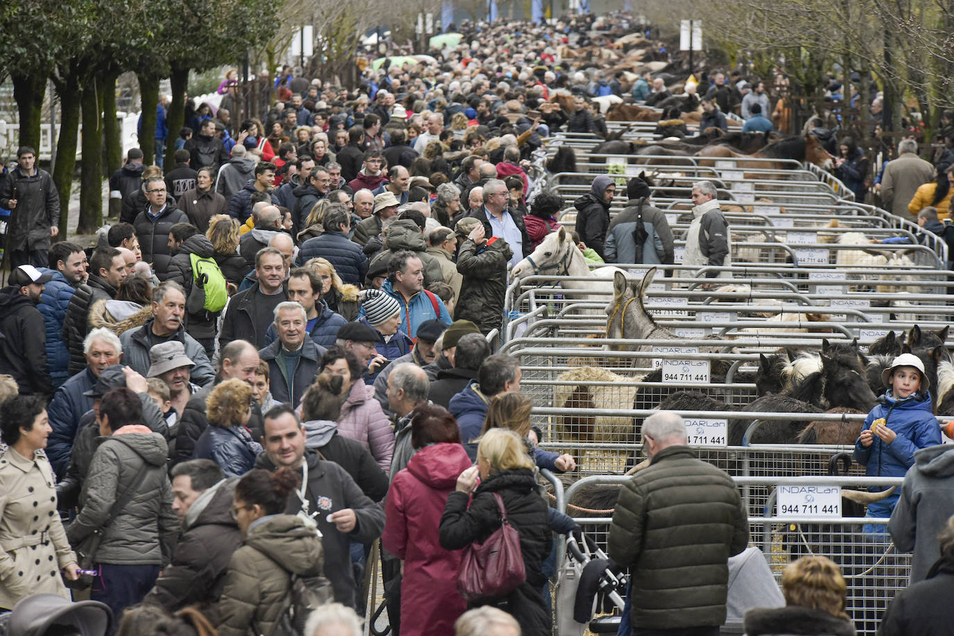 Fotos: Multitudinaria feria de Santa Lucía en Zumarraga y Urretxu