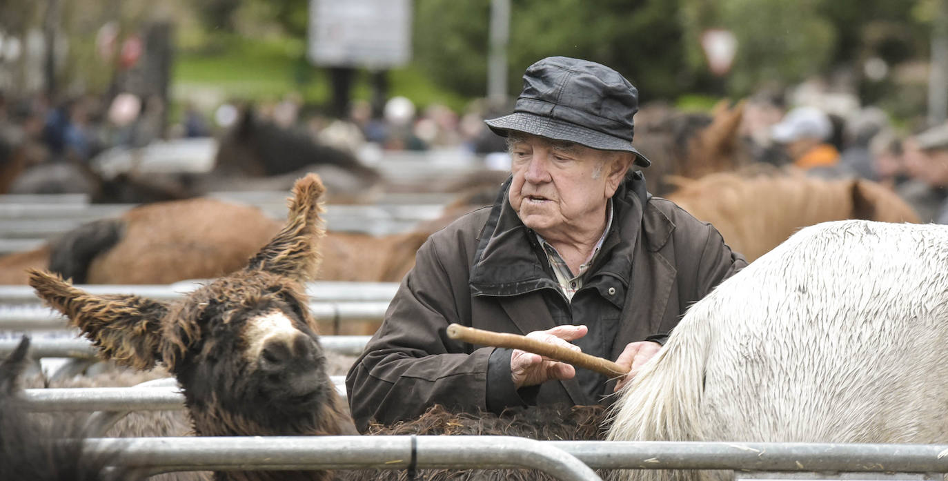Fotos: Multitudinaria feria de Santa Lucía en Zumarraga y Urretxu