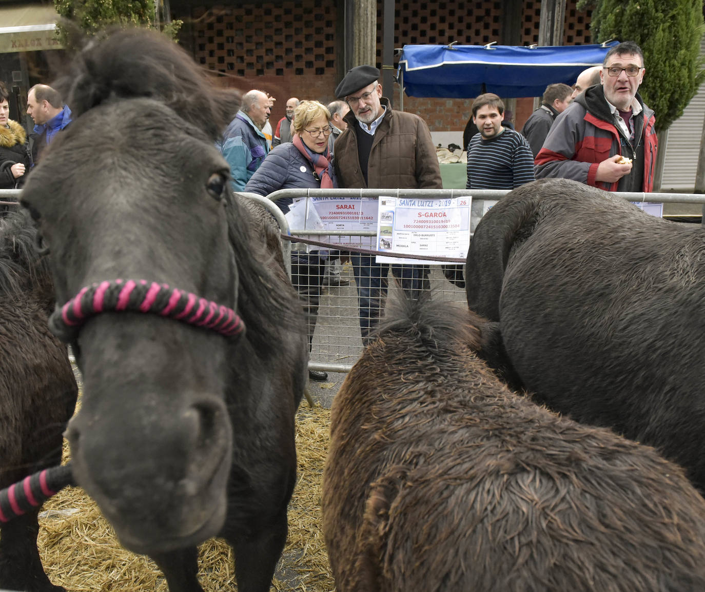 Fotos: Multitudinaria feria de Santa Lucía en Zumarraga y Urretxu