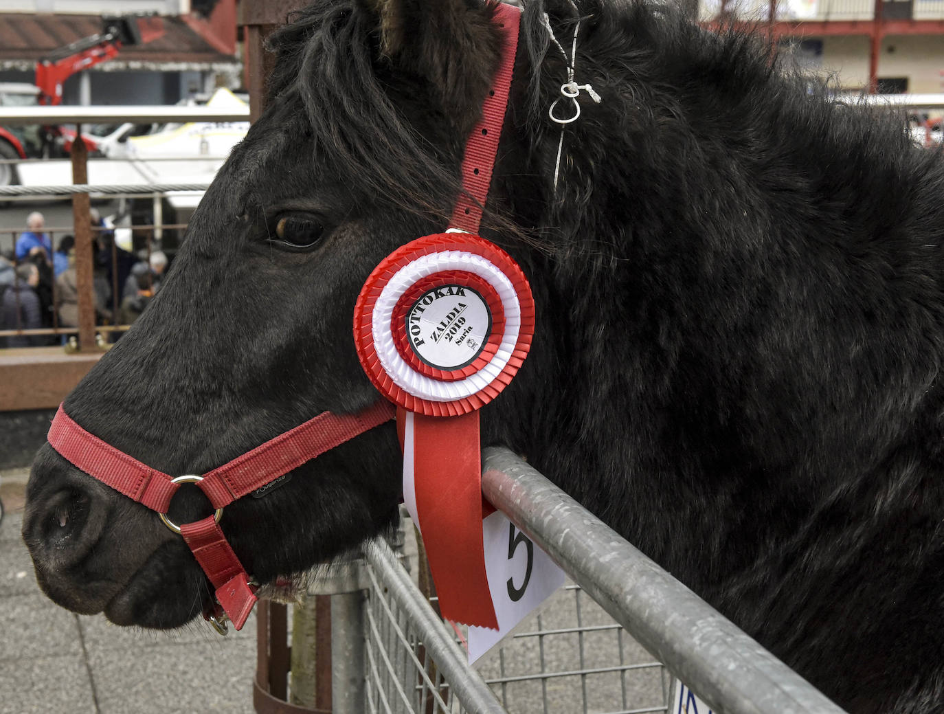 Fotos: Multitudinaria feria de Santa Lucía en Zumarraga y Urretxu