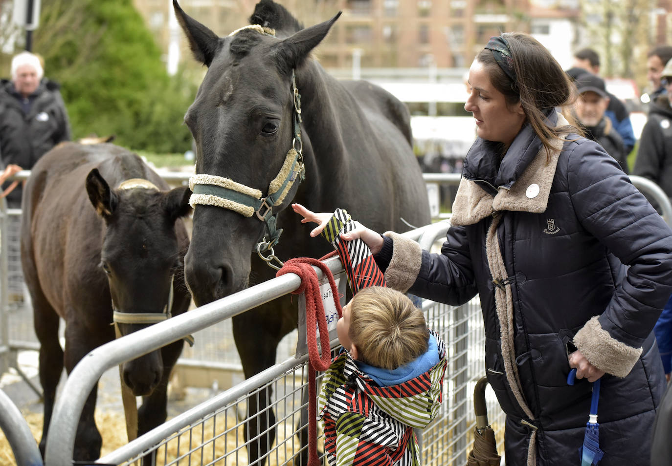 Fotos: Multitudinaria feria de Santa Lucía en Zumarraga y Urretxu