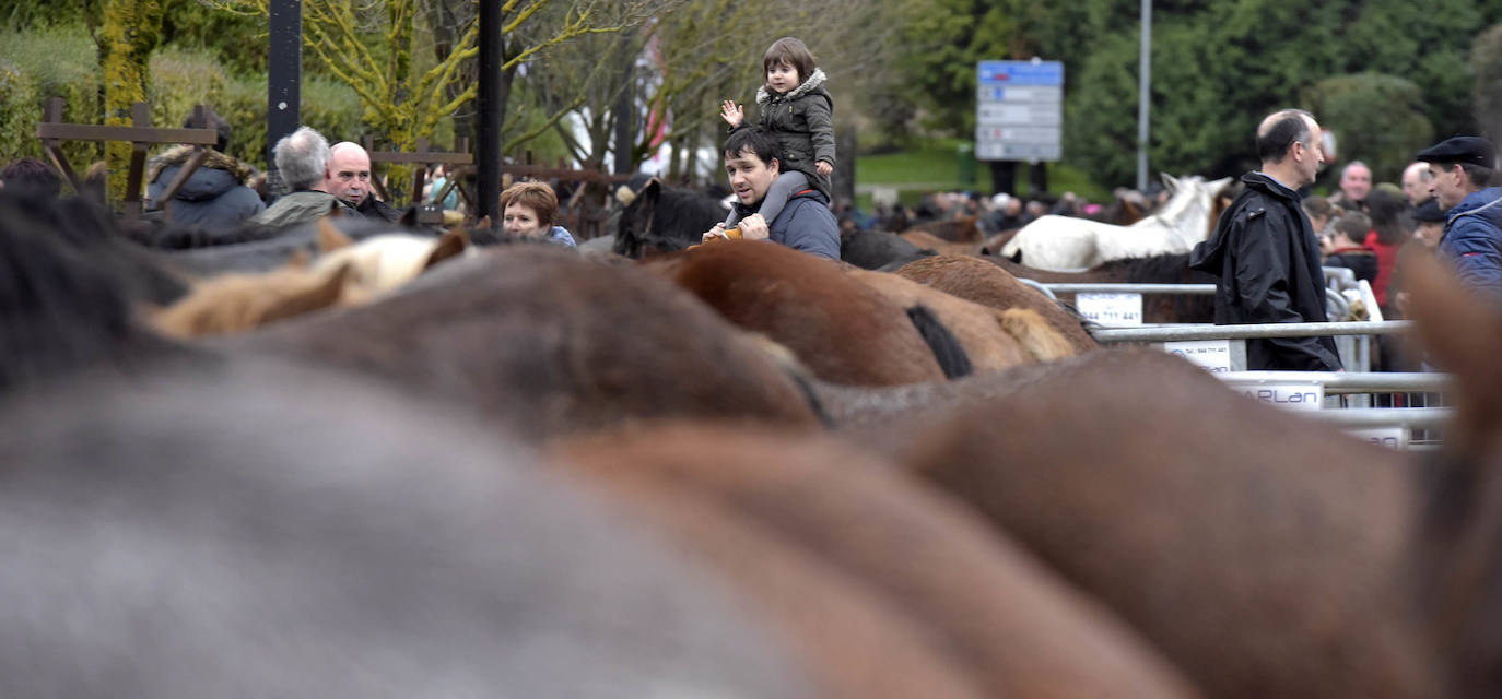 Fotos: Multitudinaria feria de Santa Lucía en Zumarraga y Urretxu