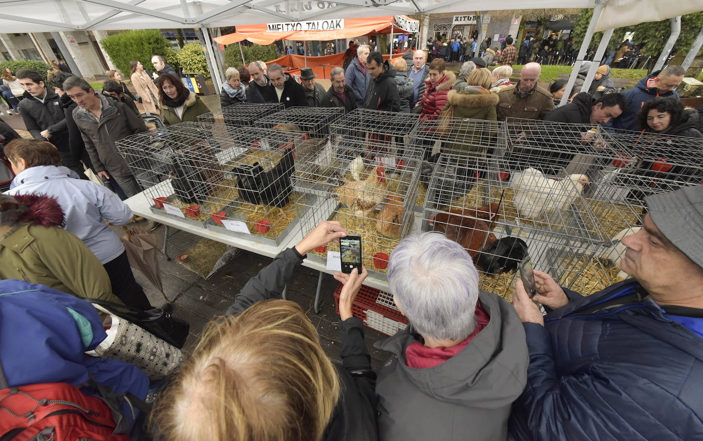 Fotos: Multitudinaria feria de Santa Lucía en Zumarraga y Urretxu