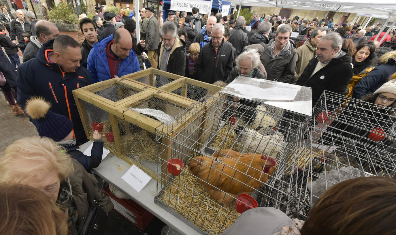Fotos: Multitudinaria feria de Santa Lucía en Zumarraga y Urretxu