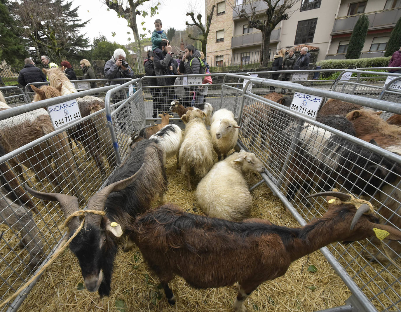 Fotos: Multitudinaria feria de Santa Lucía en Zumarraga y Urretxu