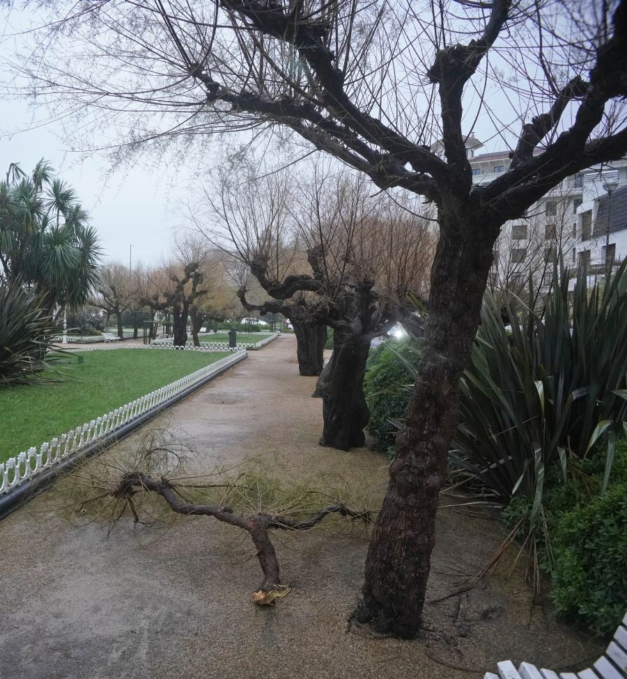 Las rachas de viento alcanzan los 135 km/ h y provocan numerosas incidencias