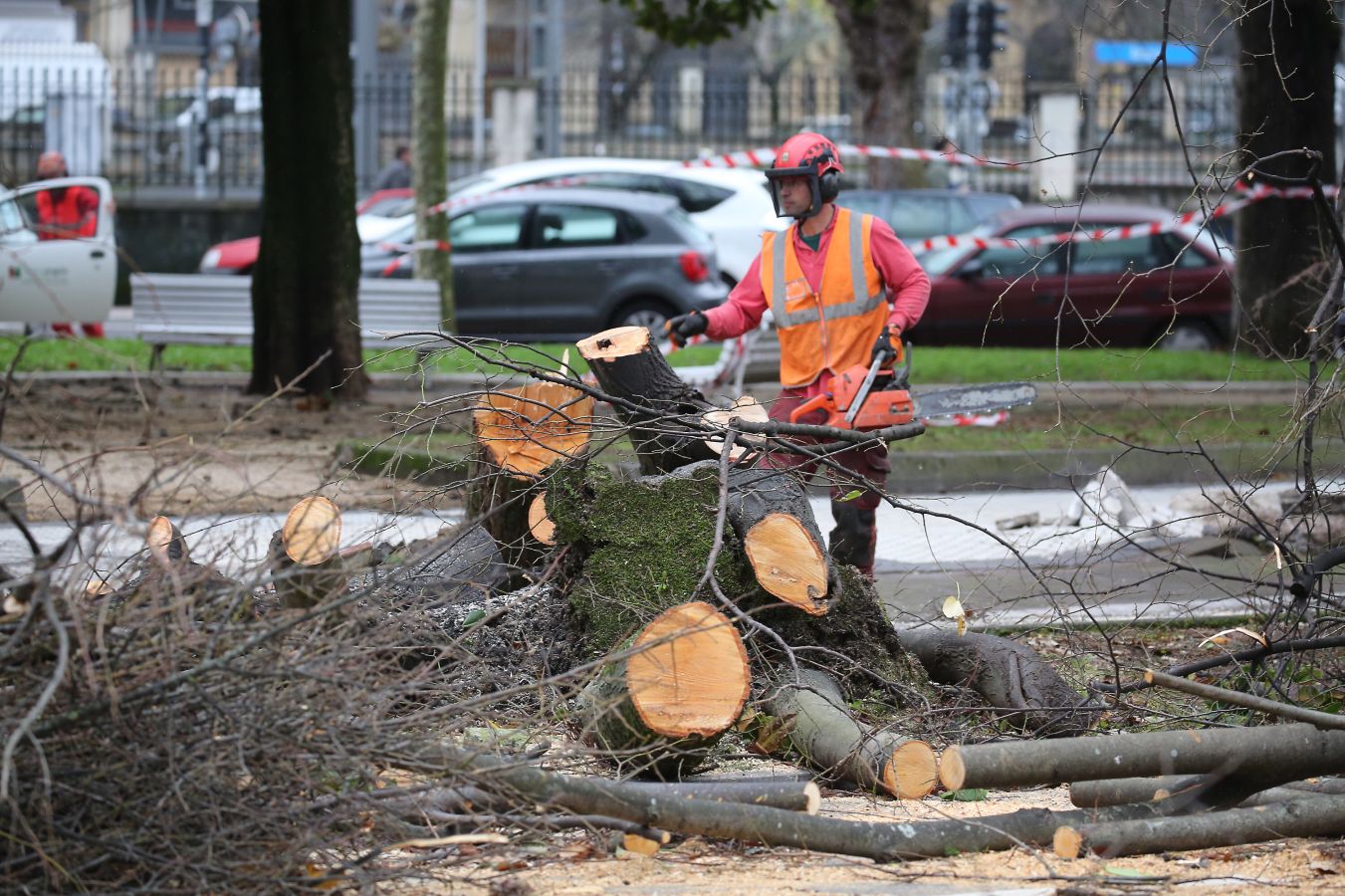 Las rachas de viento alcanzan los 135 km/ h y provocan numerosas incidencias