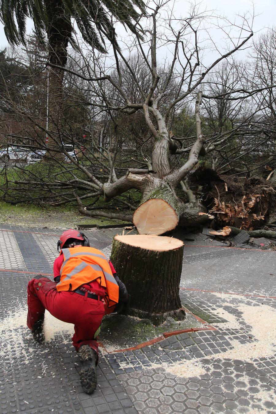 Las rachas de viento alcanzan los 135 km/ h y provocan numerosas incidencias
