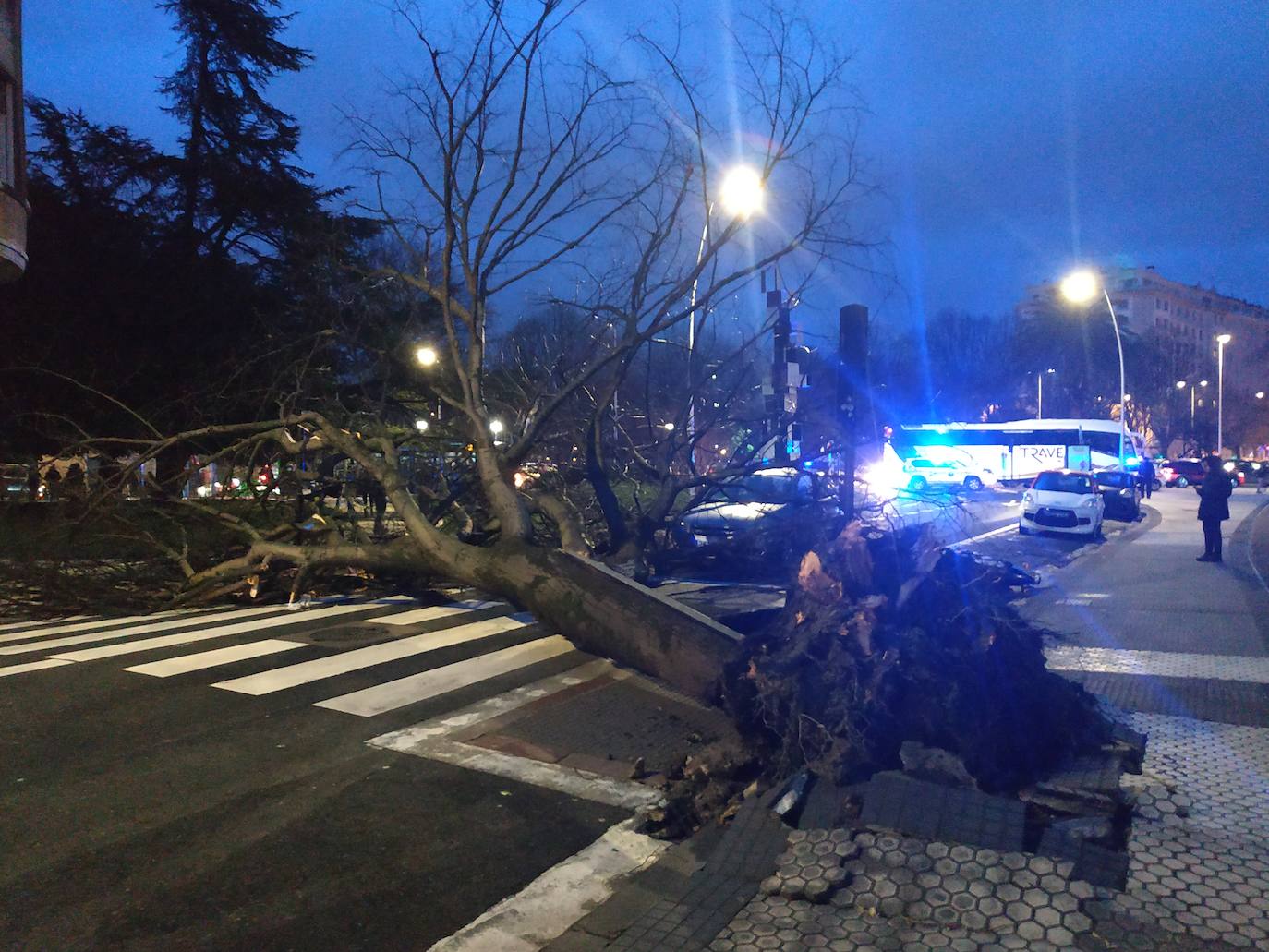 Las rachas de viento alcanzan los 135 km/ h y provocan numerosas incidencias