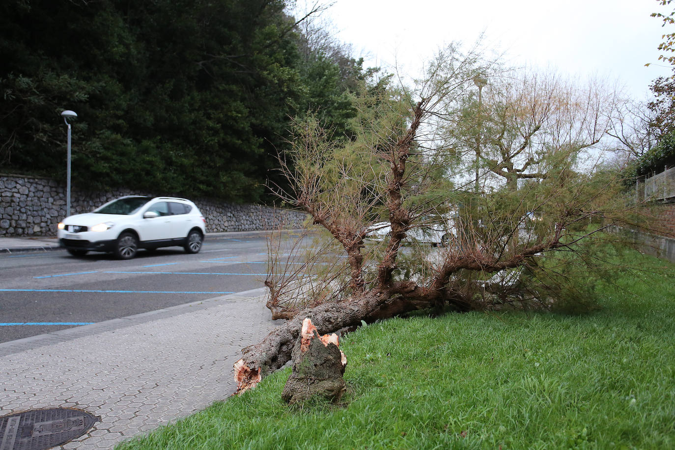 Las rachas de viento alcanzan los 135 km/ h y provocan numerosas incidencias