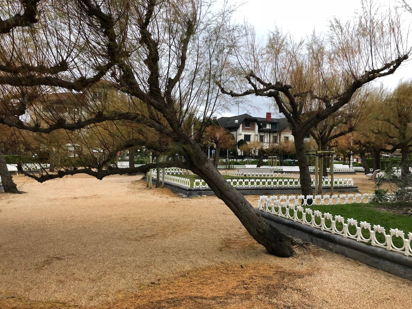 Las rachas de viento alcanzan los 135 km/ h y provocan numerosas incidencias