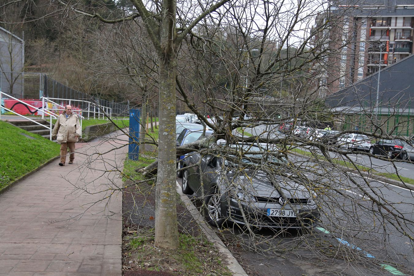 Las rachas de viento alcanzan los 135 km/ h y provocan numerosas incidencias