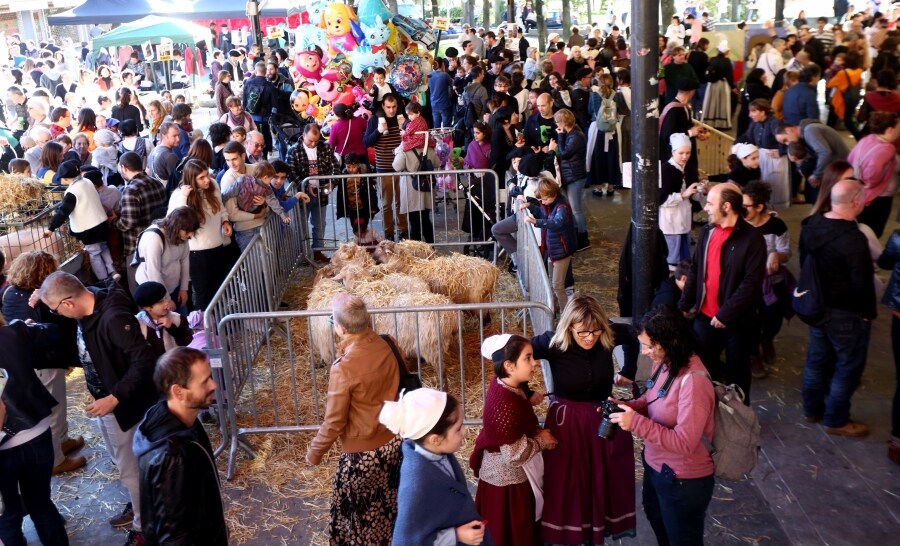 El buen tiempo animó a los lezoarras a acercarse hasta la plaza Karlos Saldise donde pudieron disfrutar de la oferta de los productores locales, así como de los diferentes animales. 