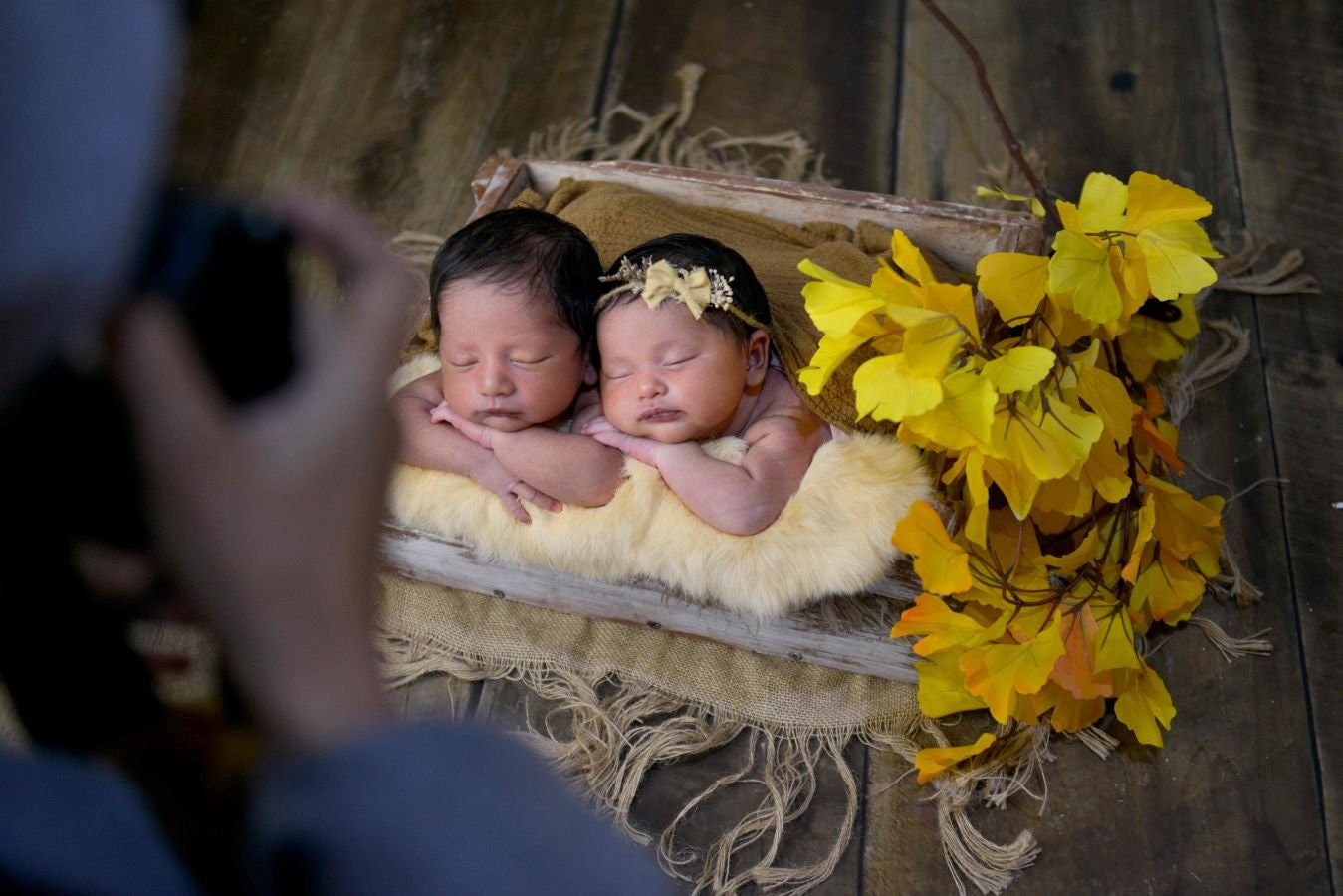 Fotos: El arte de fotografiar bebés