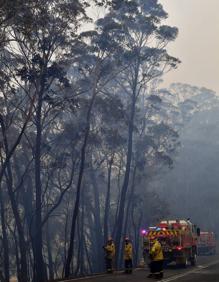 Imagen secundaria 2 - Australia registra la mayor temperatura de su historia en medio de los incendios