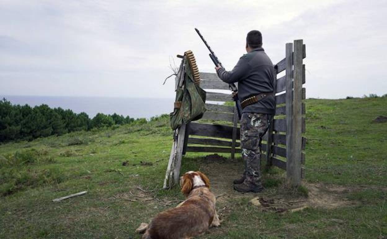 El Parlamento Vasco aprueba por unamidad la prohibición de cazar en el monte Ulía