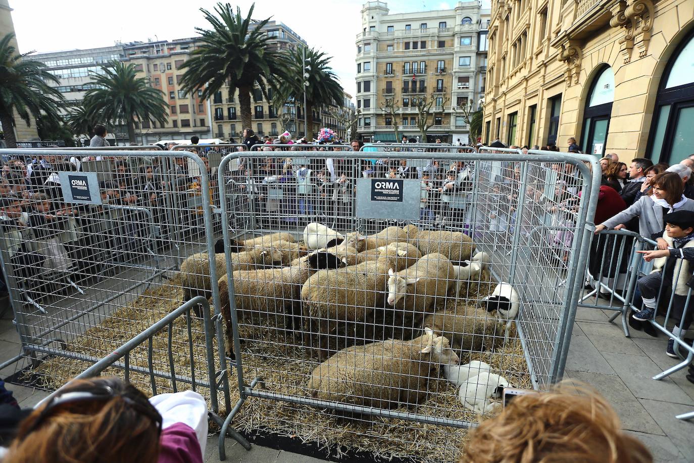 Ambiente festivo en Donostia desde bien temprano. 