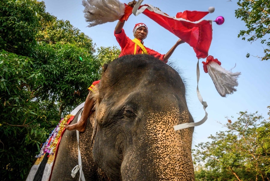 Un mahout entrena a su elefante, vestido con un disfraz de Papá Noel, antes de la presentación que harán ambos delante de los escolares, a modo de celebración navideña en Ayutthaya. 