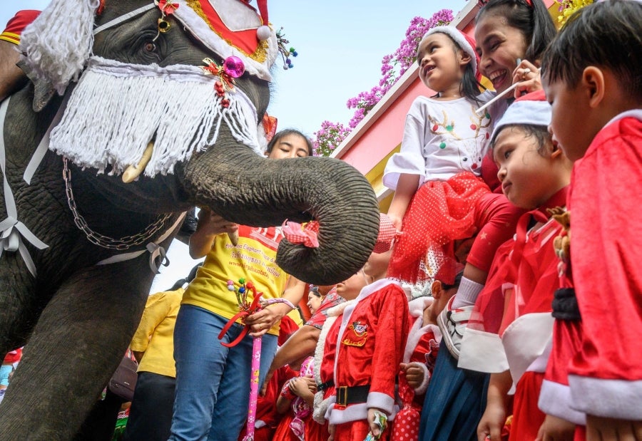 Un mahout entrena a su elefante, vestido con un disfraz de Papá Noel, antes de la presentación que harán ambos delante de los escolares, a modo de celebración navideña en Ayutthaya. 