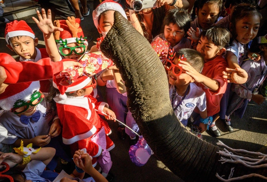 Un mahout entrena a su elefante, vestido con un disfraz de Papá Noel, antes de la presentación que harán ambos delante de los escolares, a modo de celebración navideña en Ayutthaya. 