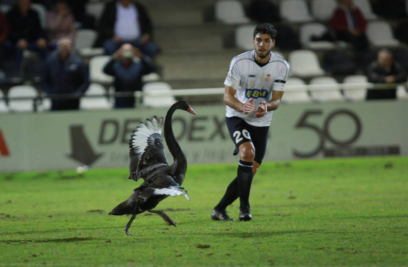 on dos claras ocasiones ha comenzado el Real Unión su choque de la última jornada de la primera vuelta ante el Haro. En el minuto 6, Galán ganaba línea de fondo y la cedía atrás para Eneko, que remataba ligeramente desviado a la derecha de Sobrón. La nota curiosa de la tarde la puso la presencia de un cisne en la segunda parte, que mantuvo detenido el choque varios minutos.