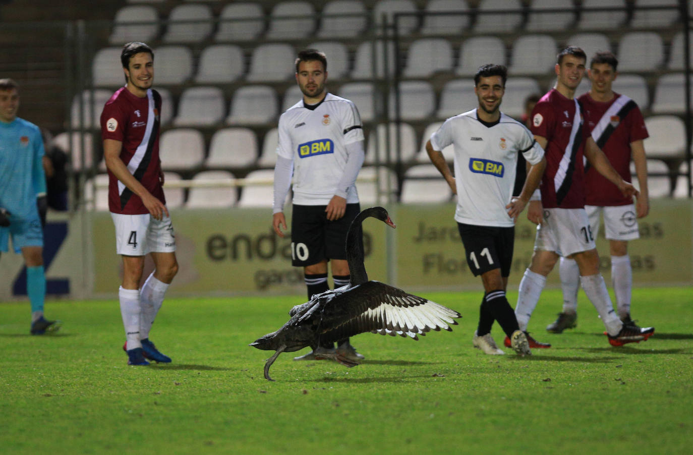 on dos claras ocasiones ha comenzado el Real Unión su choque de la última jornada de la primera vuelta ante el Haro. En el minuto 6, Galán ganaba línea de fondo y la cedía atrás para Eneko, que remataba ligeramente desviado a la derecha de Sobrón. La nota curiosa de la tarde la puso la presencia de un cisne en la segunda parte, que mantuvo detenido el choque varios minutos.