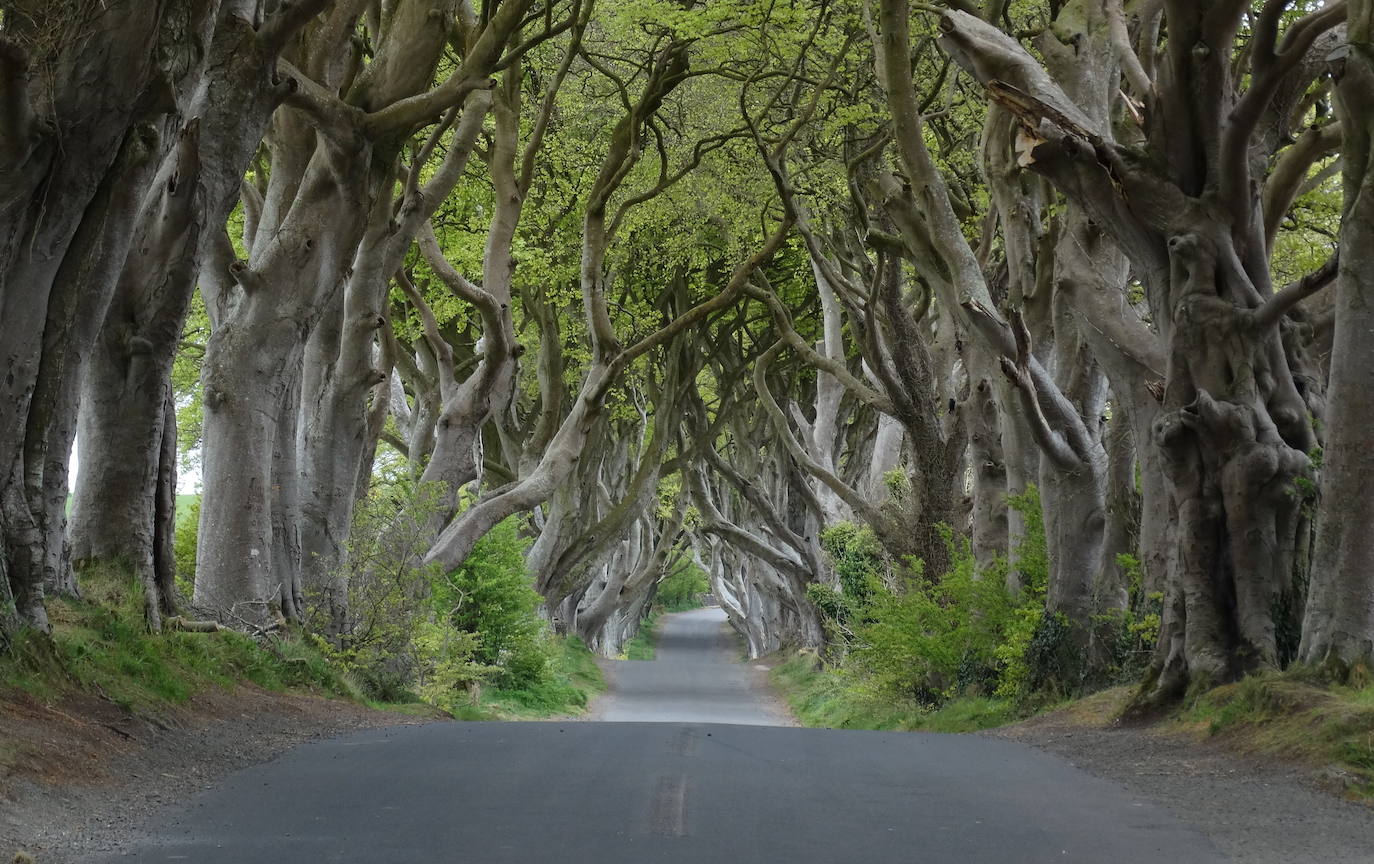 Bregagh Road ( Ballymoney, Irlanda del Norte)