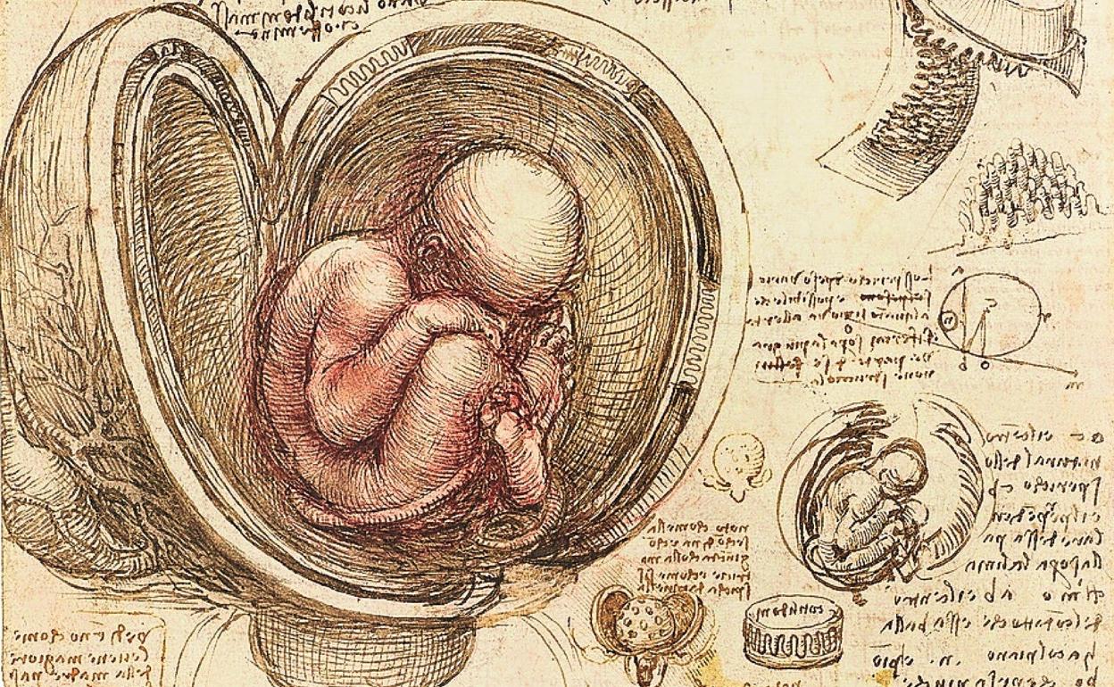 Dos dibujos de Leonardo. 