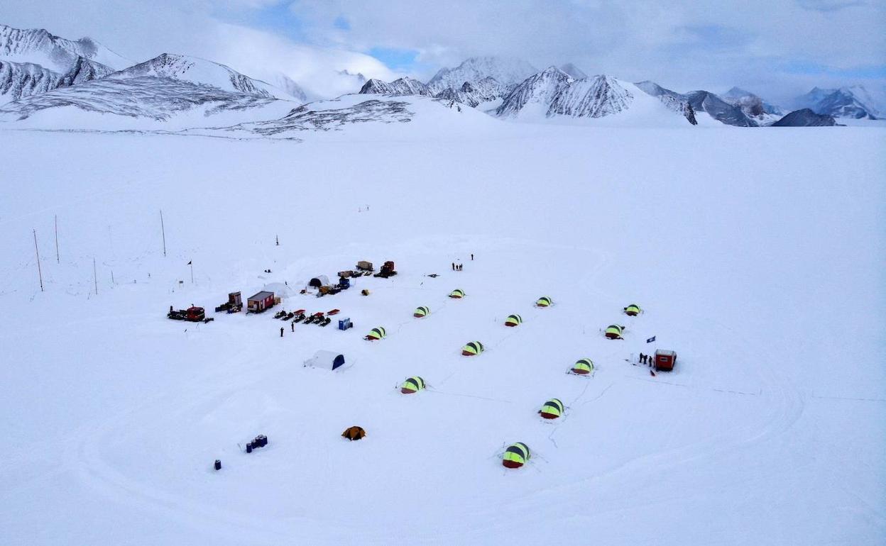 Detectan especies de mosquitos invasores en la Antártida