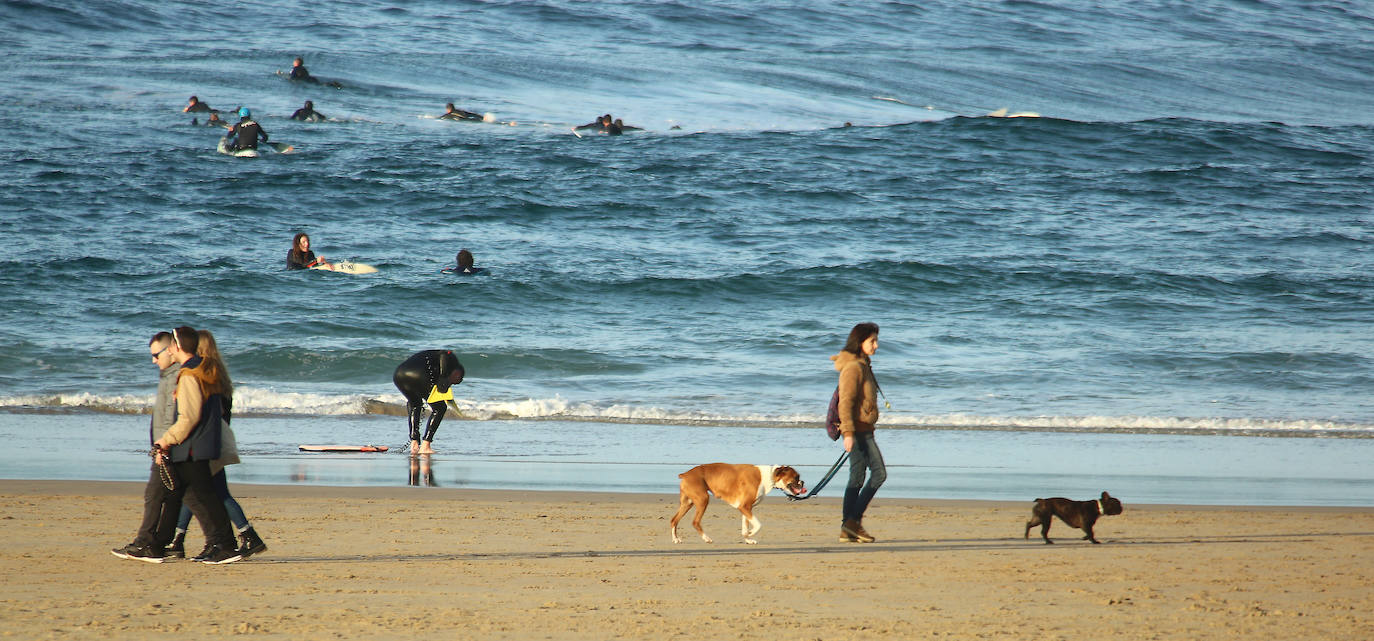 Gipuzkoa ha estrenado el mes de febrero con un tiempo más propio del verano que del invierno. El sol y las agradables temperaturas han invitado a la playa o al monte.