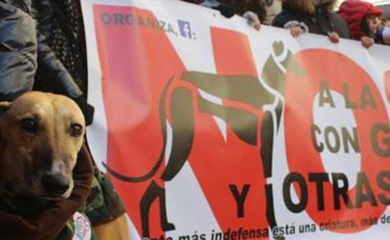 Un centenar de personas pide en Donostia que se ponga fin a la caza