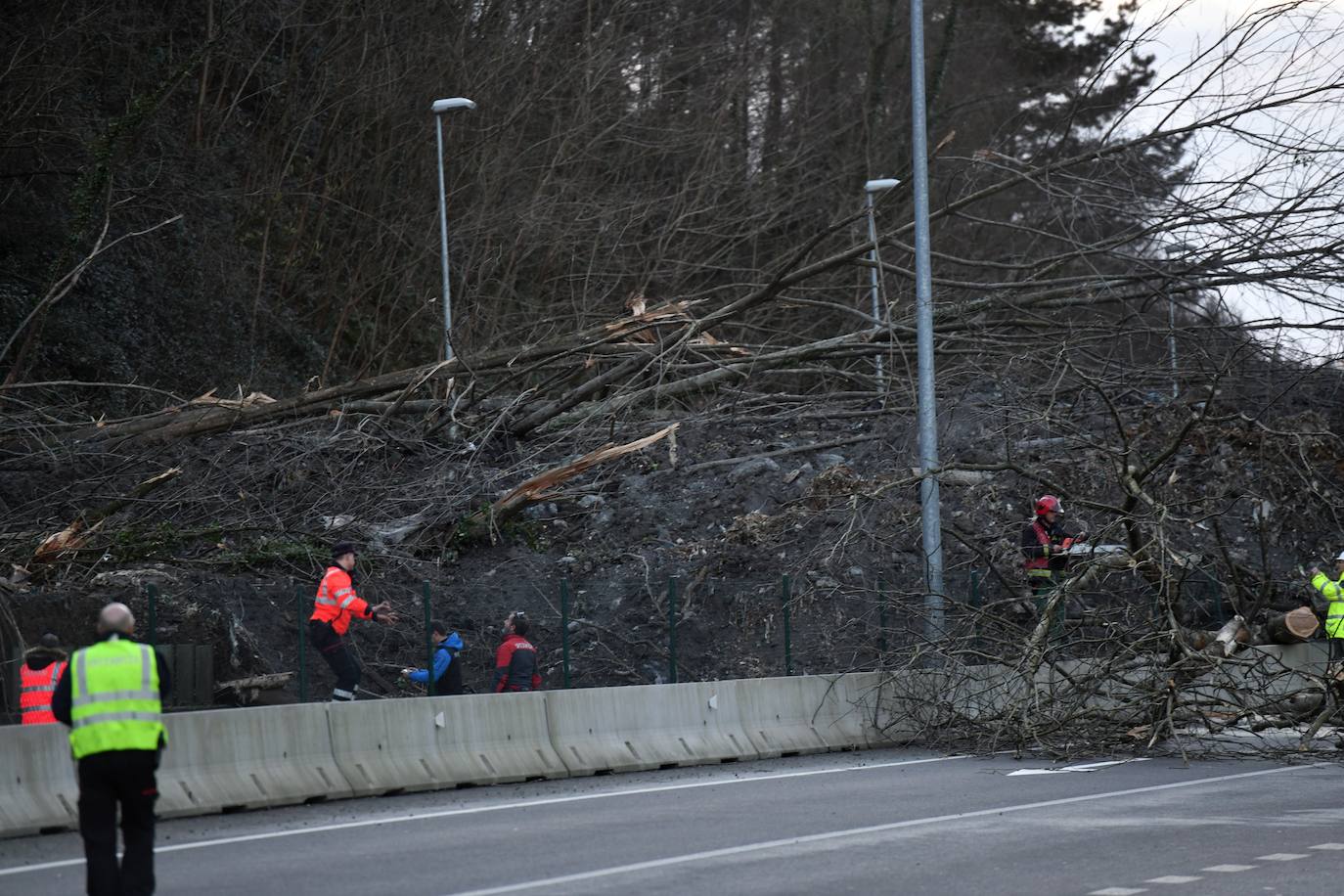 Un desprendimiento de tierras ha provocado la caída de un árbol de grandes dimensiones sobre la calzada y ha obligado a cortar la AP-8.