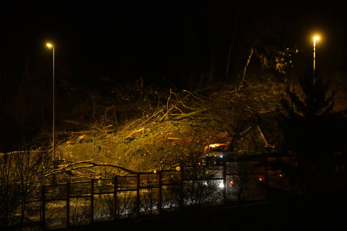 Un desprendimiento de tierras ha provocado la caída de un árbol de grandes dimensiones sobre la calzada y ha obligado a cortar la AP-8.