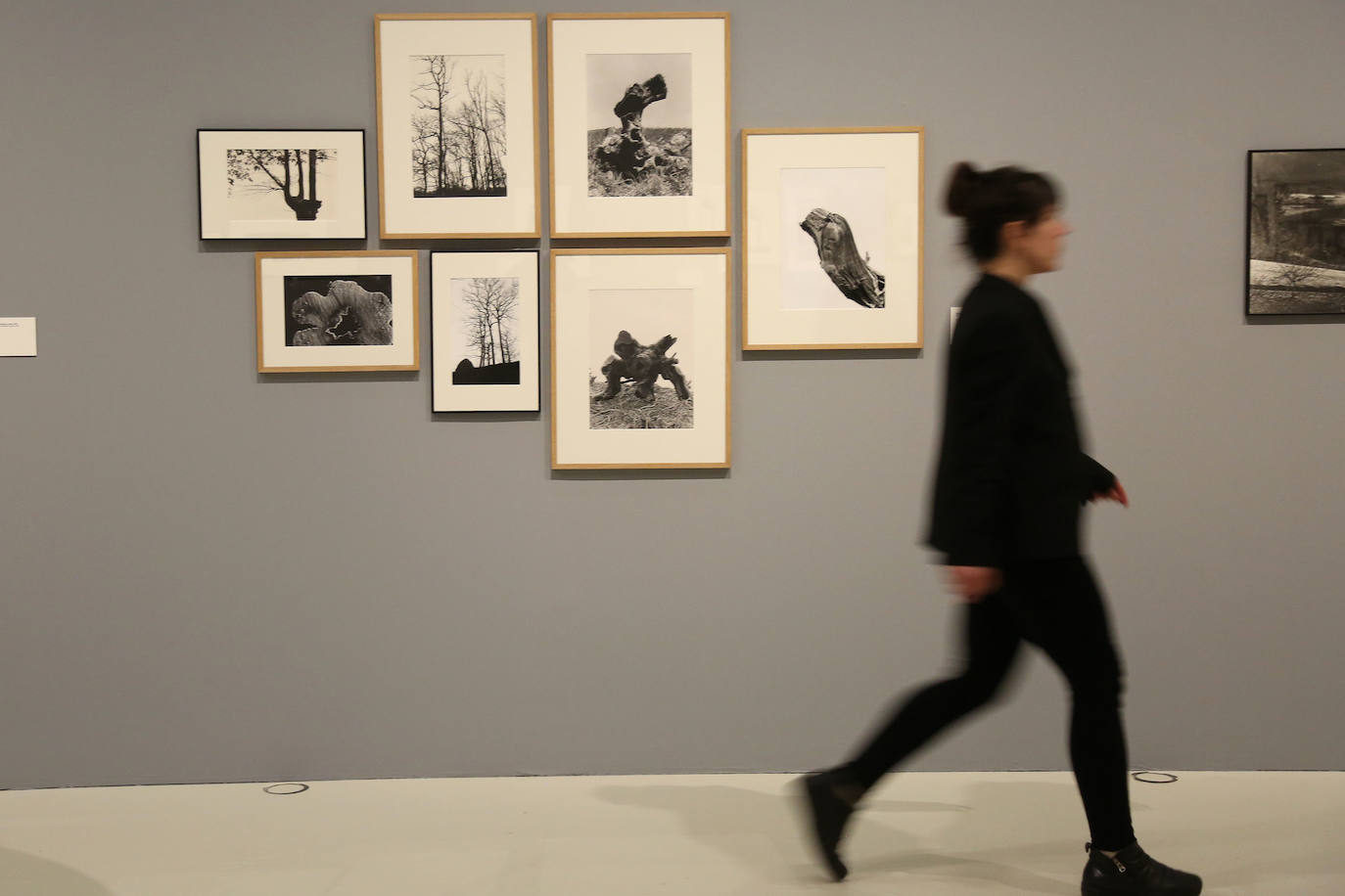 Todas las series en las que Antton Elizegi ha plasmado su trabajo están representadas en una exposición que recoge la mirada, muy personal, que ha dirigido al entorno.