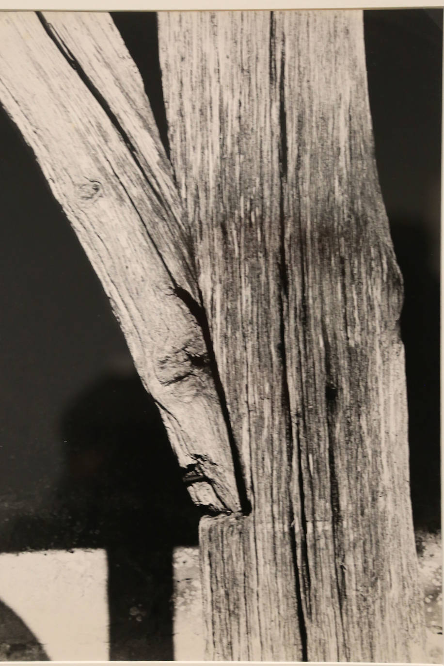 Todas las series en las que Antton Elizegi ha plasmado su trabajo están representadas en una exposición que recoge la mirada, muy personal, que ha dirigido al entorno.