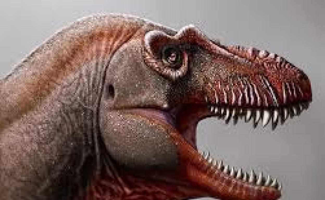 'El segador de la muerte', primo lejano del T-Rex, encontrado en Canadá