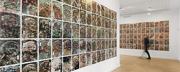 La serie 'Copperhead', de Moyra Davey, en un museo alemán.